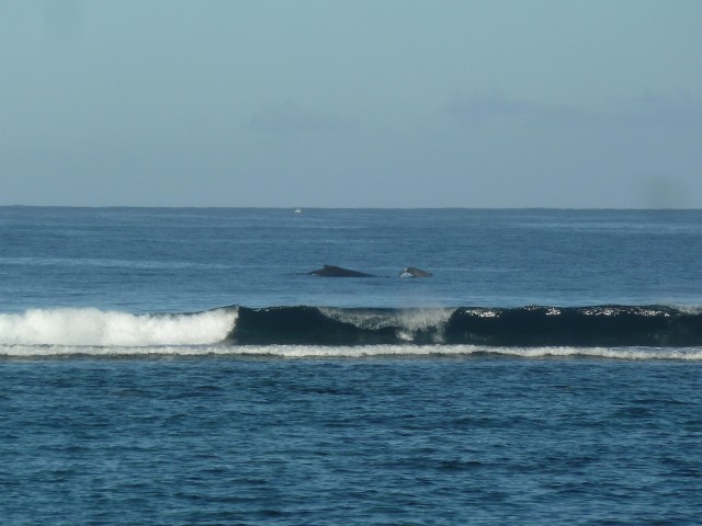 P1050177