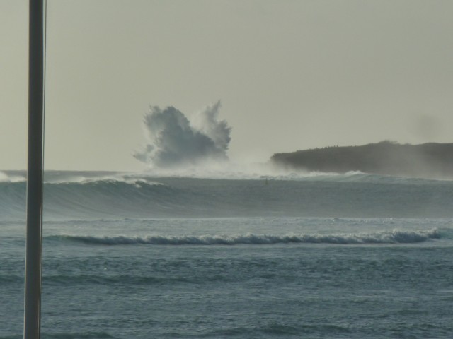 P1050348