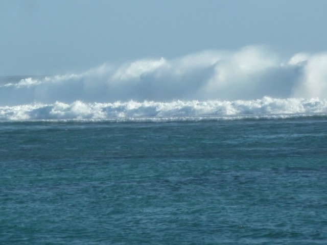P1050349