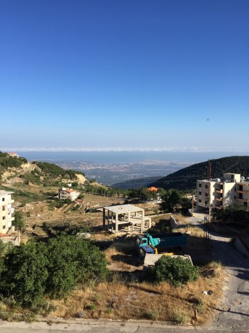 ZMG_2204
